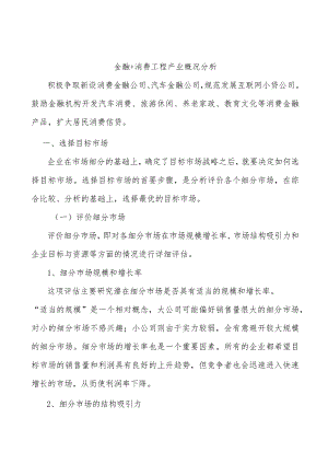 金融+消费工程产业概况分析.docx