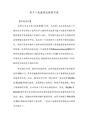 高产小麦基因克隆获突破.docx
