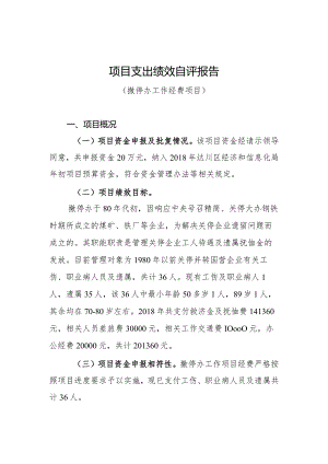 项目支出绩效自评报告.docx