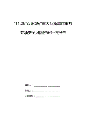 黑龙江龙煤双鸭山矿业有限责任公司双阳煤矿重大瓦斯爆炸事故专项风险辨识评估报告.docx