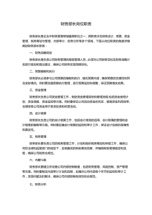 财务部长岗位职责.docx