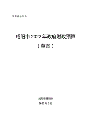 财政预算报告附件.docx