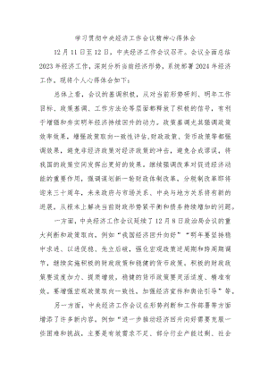 青年学生干部学习贯彻中央经济工作会议精神心得体会（3份）.docx