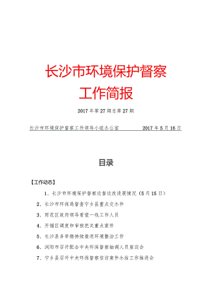 长沙市环境保护督察.docx