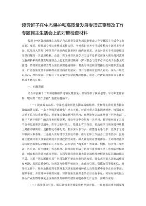 领导班子在生态保护和高质量发展专项巡察整改工作专题民主生活会上的对照检查材料.docx