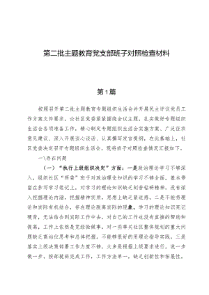 （8篇）第二批主题教育党支部班子对照检查材料.docx