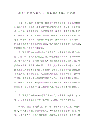 （2篇）组工干部参加第二批主题教育心得体会发言稿+座谈发言：发扬吃苦耐劳精神做新时代“好”青年.docx