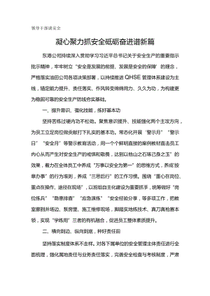 领导干部谈安全-凝心聚力抓安全砥砺奋进谱新篇.docx
