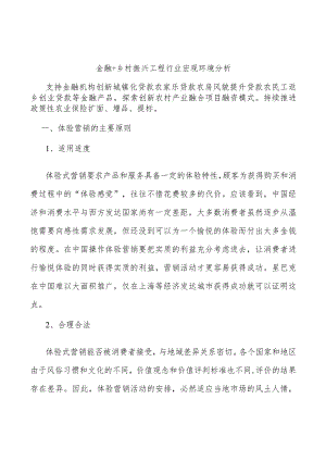 金融+乡村振兴工程行业宏观环境分析.docx