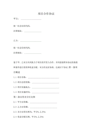 项目合作协议（正式版）.docx