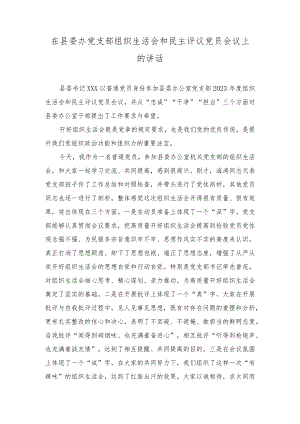 （2篇）在县委办党支部组织生活会和民主评议党员会议上的讲话+在2023年主题教育中深化理论学习工作总结.docx