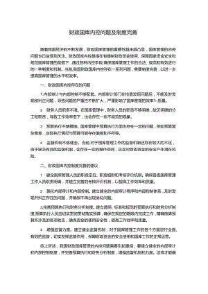 财政国库内控问题及制度完善.docx