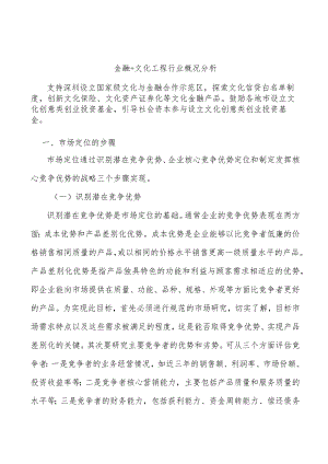 金融+文化工程行业概况分析.docx