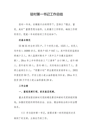 驻村第一书记工作总结.docx