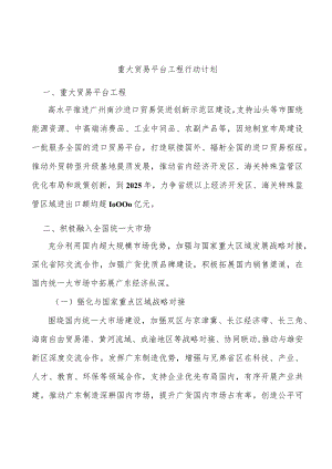 重大贸易平台工程行动计划.docx
