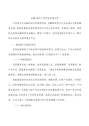 金融+海洋工程项目背景分析.docx