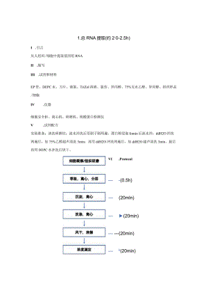附件5实验项目技术操作步骤简介docx.docx