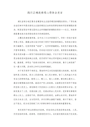 （2篇）践行正确政绩观心得体会发言学习树立和践行正确政绩观“政绩为谁而树、树什么样的政绩、靠什么树政绩”研讨发言.docx