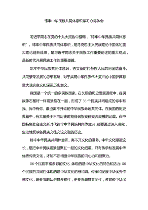 铸牢中华民族共同体意识学习心得体会.docx