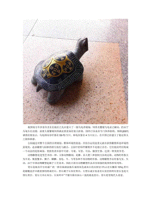 青石乌龟公园动物.docx