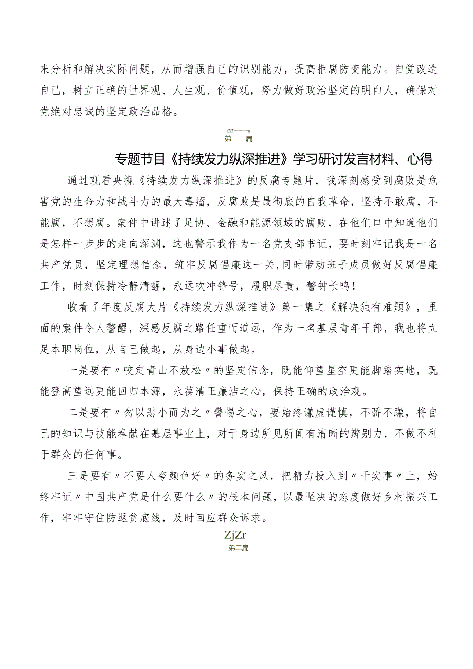 (10篇)2024年专题节目《持续发力纵深推进》研讨交流发言提纲及心得体会.docx_第2页
