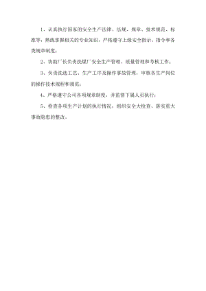 选煤厂副主任岗位职责.docx