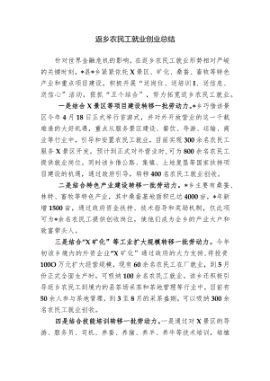 返乡农民工就业创业总结.docx