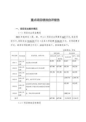 重点项目绩效自评报告.docx