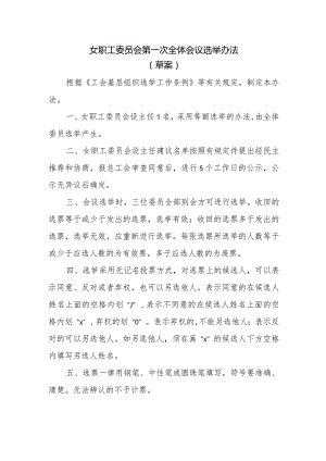 （工会换届）女职工委员会第一次全体会议选举办法.docx