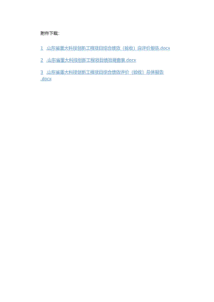 山东省重大科技创新工程项目综合绩效（验收）自评价报告、调查表、总体报告.docx