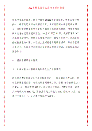 XX市精准扶贫实施情况视察报告.docx