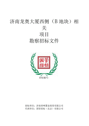 XX地块项目勘察招标文件.docx