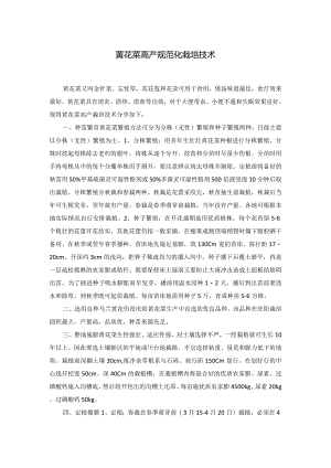黄花菜高产规范化栽培技术.docx
