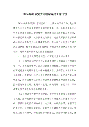 2024年基层党支部制定党建工作计划2篇.docx
