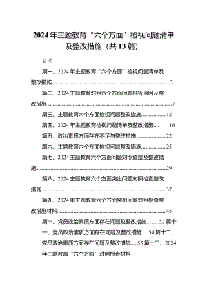 2024年专题教育“六个方面”检视问题清单及整改措施13篇（详细版）.docx