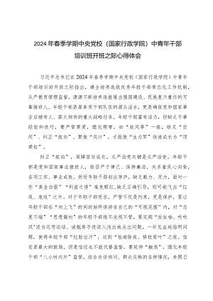 （5篇）2024年春季学期中央党校（国家行政学院）中青年干部培训班开班之际心得体会.docx