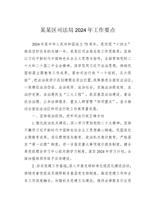 某某区司法局2024年工作要点.docx
