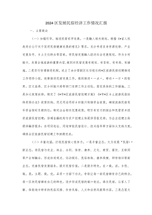 2024区发展民宿经济工作情况汇报.docx