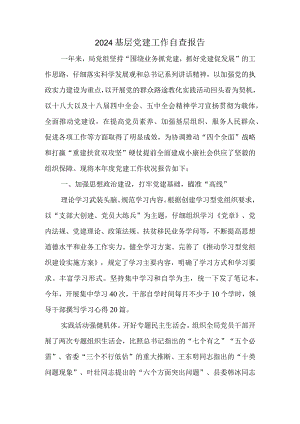 2024基层党建工作自查报告.docx
