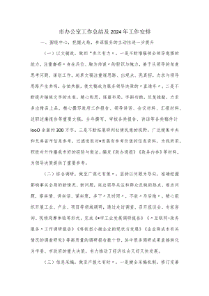 市办公室工作总结及2024年工作安排.docx