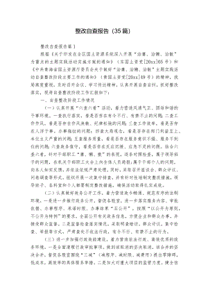 整改自查报告（35篇）.docx