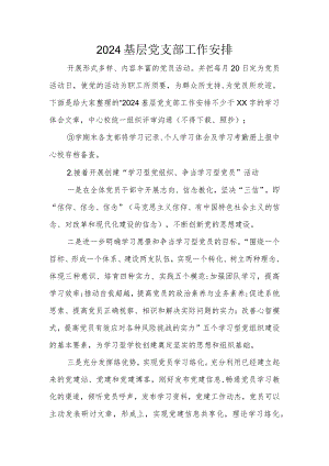 2024基层党支部工作计划.docx
