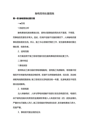 触电现场处置措施.docx