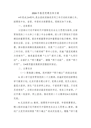2024年基层党建总体方案.docx