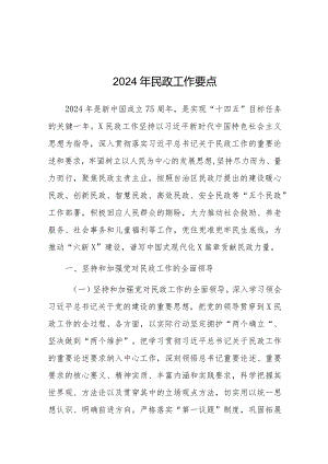 2024年民政工作要点（市级）.docx