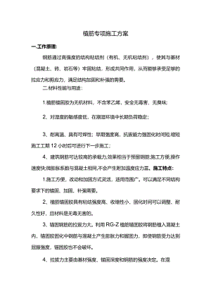 植筋专项施工方案.docx