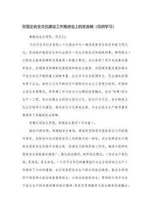 在国企安全文化建设工作推进会上的发言稿.docx