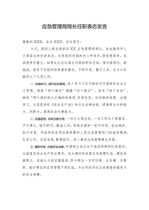 应急管理局局长任职表态发言.docx