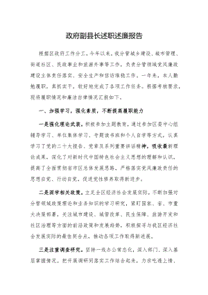 2023年度述职述廉报告（政府副县长）.docx