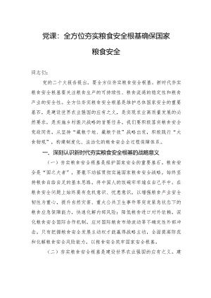 党课：全方位夯实粮食安全根基+确保国家粮食安全.docx